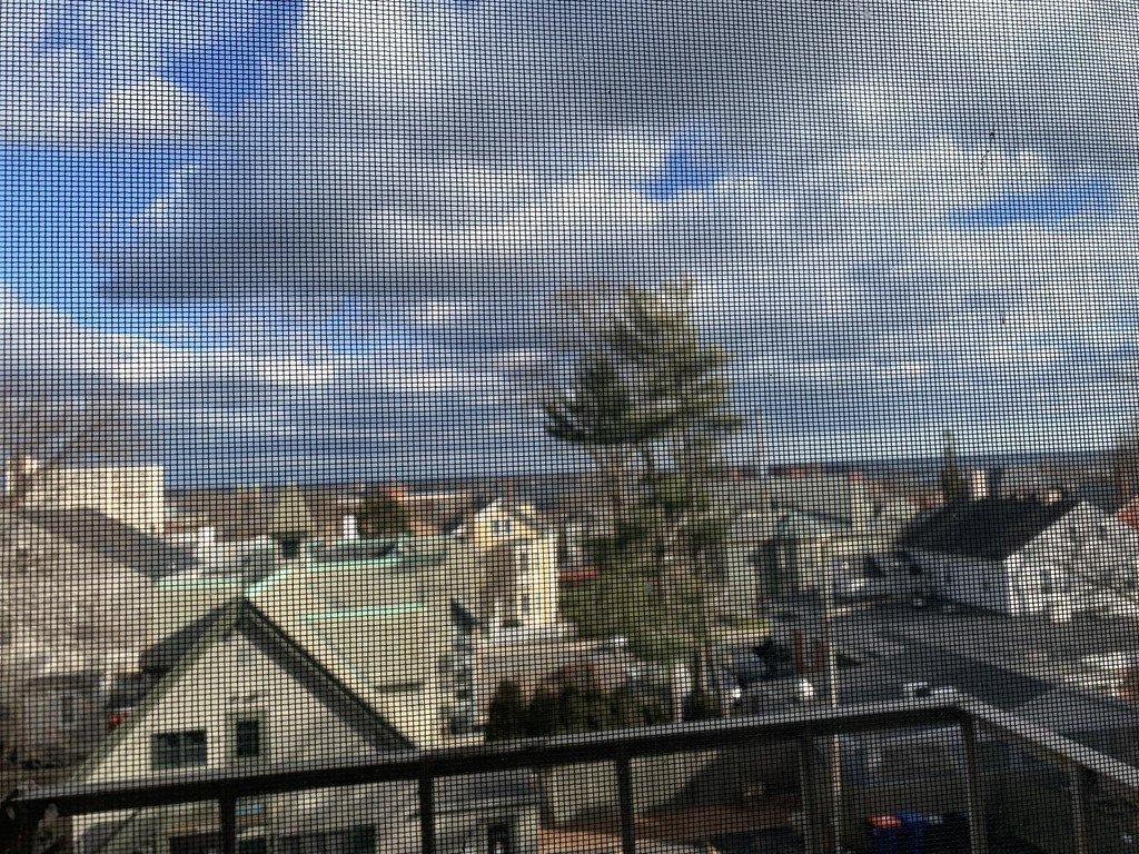 Colonial